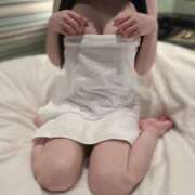 すみれ 夜更けにすみれと、ほっとひと息🌙☁️ PHANTOM(ファントム)