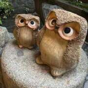 ヒメ日記 2025/06/05 09:58 投稿 らら 新潟市鳥屋野潟ちゃんこ