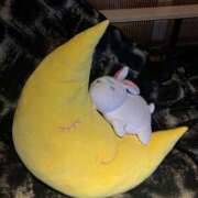 ヒメ日記 2025/06/10 18:29 投稿 らら 新潟市鳥屋野潟ちゃんこ