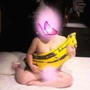 ヒメ日記 2025/07/08 12:16 投稿 らら 新潟市鳥屋野潟ちゃんこ