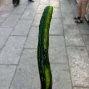 ヒメ日記 2025/07/14 13:16 投稿 らら 新潟市鳥屋野潟ちゃんこ