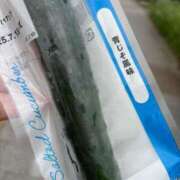 ヒメ日記 2025/07/15 21:16 投稿 らら 新潟市鳥屋野潟ちゃんこ