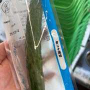 ヒメ日記 2025/07/22 20:47 投稿 らら 新潟市鳥屋野潟ちゃんこ