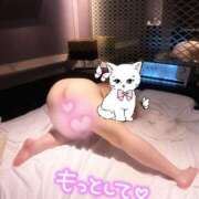 ヒメ日記 2025/08/07 07:16 投稿 らら 新潟市鳥屋野潟ちゃんこ