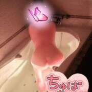 ヒメ日記 2025/08/12 15:03 投稿 らら 新潟市鳥屋野潟ちゃんこ