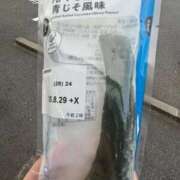 ヒメ日記 2025/08/27 01:06 投稿 らら 新潟市鳥屋野潟ちゃんこ