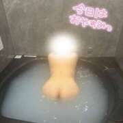 ヒメ日記 2025/09/16 07:16 投稿 らら 新潟市鳥屋野潟ちゃんこ