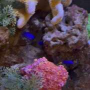 ヒメ日記 2025/09/24 15:06 投稿 らら 新潟市鳥屋野潟ちゃんこ