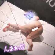 ヒメ日記 2025/10/29 15:16 投稿 らら 新潟市鳥屋野潟ちゃんこ