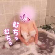 ヒメ日記 2025/11/17 07:06 投稿 らら 新潟市鳥屋野潟ちゃんこ
