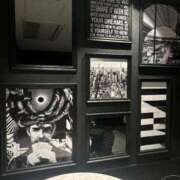 らら にゃぁ💓 新潟市鳥屋野潟ちゃんこ