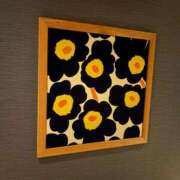 ヒメ日記 2025/12/12 00:56 投稿 らら 新潟市鳥屋野潟ちゃんこ