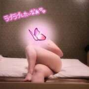 ヒメ日記 2025/12/17 11:16 投稿 らら 新潟市鳥屋野潟ちゃんこ