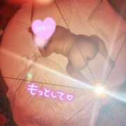 ヒメ日記 2025/12/27 15:28 投稿 らら 新潟市鳥屋野潟ちゃんこ