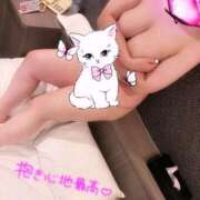 ヒメ日記 2026/01/31 15:56 投稿 らら 新潟市鳥屋野潟ちゃんこ