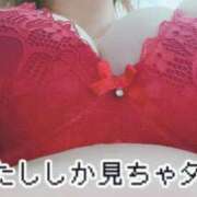 ヒメ日記 2025/06/07 08:52 投稿 松田かなみ 松戸人妻花壇