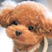 ヒメ日記 2025/10/08 09:44 投稿 松田かなみ 松戸人妻花壇