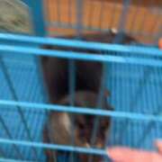 ヒメ日記 2025/07/16 20:52 投稿 あゆむ 熟女の風俗最終章 新宿店