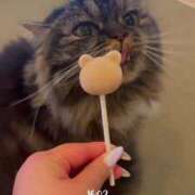 ヒメ日記 2025/07/26 15:29 投稿 あゆむ 熟女の風俗最終章 新宿店