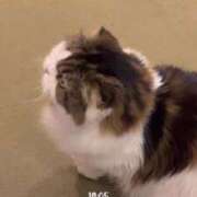 ヒメ日記 2025/08/01 17:26 投稿 あゆむ 熟女の風俗最終章 新宿店