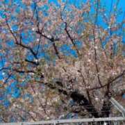 ヒメ日記 2025/08/01 17:42 投稿 あゆむ 熟女の風俗最終章 新宿店