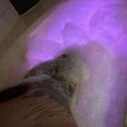 ヒメ日記 2025/09/24 02:22 投稿 あゆむ 熟女の風俗最終章 新宿店