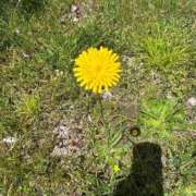 ヒメ日記 2025/05/14 21:12 投稿 ゆら 多治見・土岐・春日井ちゃんこ