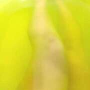 ゆら 6.515:00 y様💕 多治見・土岐・春日井ちゃんこ