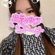 ヒメ日記 2025/05/12 14:22 投稿 あゆむ 熟女の風俗最終章 池袋店