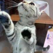 ヒメ日記 2025/06/21 14:03 投稿 あゆむ 熟女の風俗最終章 池袋店