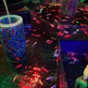 ヒメ日記 2025/07/06 13:59 投稿 あゆむ 熟女の風俗最終章 池袋店