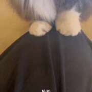 ヒメ日記 2025/07/14 21:00 投稿 あゆむ 熟女の風俗最終章 池袋店