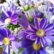 ヒメ日記 2026/04/01 18:14 投稿 はるこ 俺のヤバい妻。(谷九)