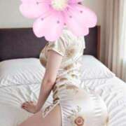 ヒメ日記 2026/03/05 18:01 投稿 ちふゆ プラチナ