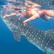 ヒメ日記 2025/12/09 22:18 投稿 あんじゅ 東京メンズボディクリニック TMBC 池袋店