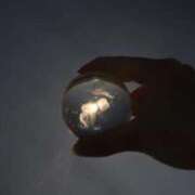 ヒメ日記 2026/02/07 17:39 投稿 あんじゅ 東京メンズボディクリニック TMBC 池袋店