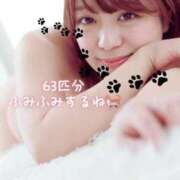 あんじゅ 63匹の猫ちゃんと3匹のねこちゃん？【ウエストワン アンジュリアン様】ありがとう☺️ 東京メンズボディクリニック TMBC 池袋店