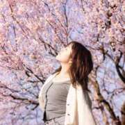 ヒメ日記 2026/04/02 16:49 投稿 あんじゅ 東京メンズボディクリニック TMBC 池袋店