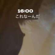 ヒメ日記 2026/08/25 16:29 投稿 あんじゅ 東京メンズボディクリニック TMBC 池袋店