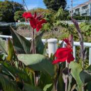 ヒメ日記 2025/09/30 08:43 投稿 やよい 熟女の風俗最終章 八王子店