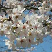 ヒメ日記 2025/05/22 18:38 投稿 レイ 煌-kirameki-