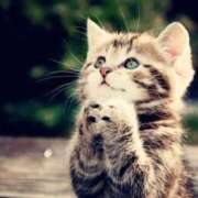 レイ ♡お礼です♡ 煌-kirameki-