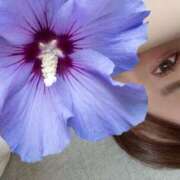 ヒメ日記 2025/07/25 10:27 投稿 しいな 池袋人妻城