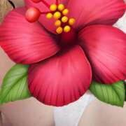 ヒメ日記 2025/09/18 08:06 投稿 しいな 池袋人妻城