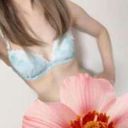 ヒメ日記 2025/09/26 00:18 投稿 しいな 池袋人妻城