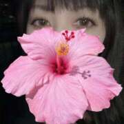 ヒメ日記 2025/11/05 08:54 投稿 しいな 池袋人妻城