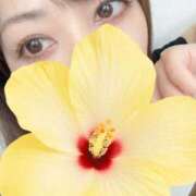 ヒメ日記 2026/07/24 22:45 投稿 しいな 池袋人妻城