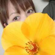 ヒメ日記 2026/10/01 07:15 投稿 しいな 池袋人妻城