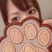ヒメ日記 2026/10/01 07:35 投稿 しいな 池袋人妻城