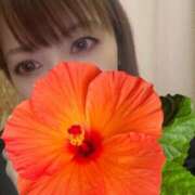 ヒメ日記 2026/10/13 11:45 投稿 しいな 池袋人妻城